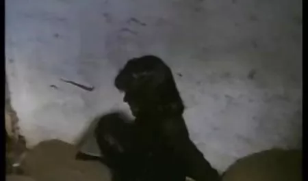 Uzun saç , olgun erotik saç , kız