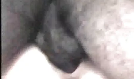 Bi amatör karısı sürmek ve çığlık-bi-si mature erotik resim -