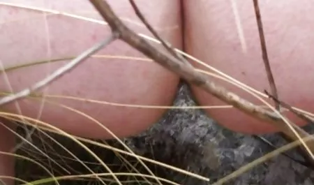 Seksi sürtük becerdin olgun kadın erotik izle alır
