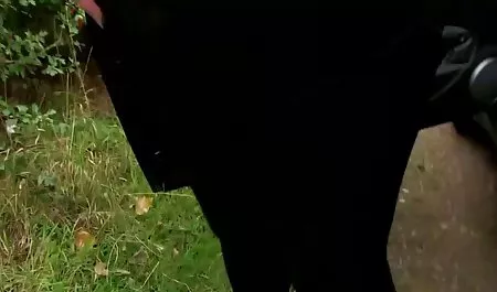 Aşırı Fisting temelinde olgun erotik resimler büyük dildo ile Sisi